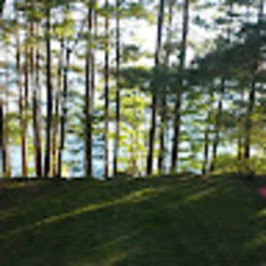 Meet your Posher, Lindsay